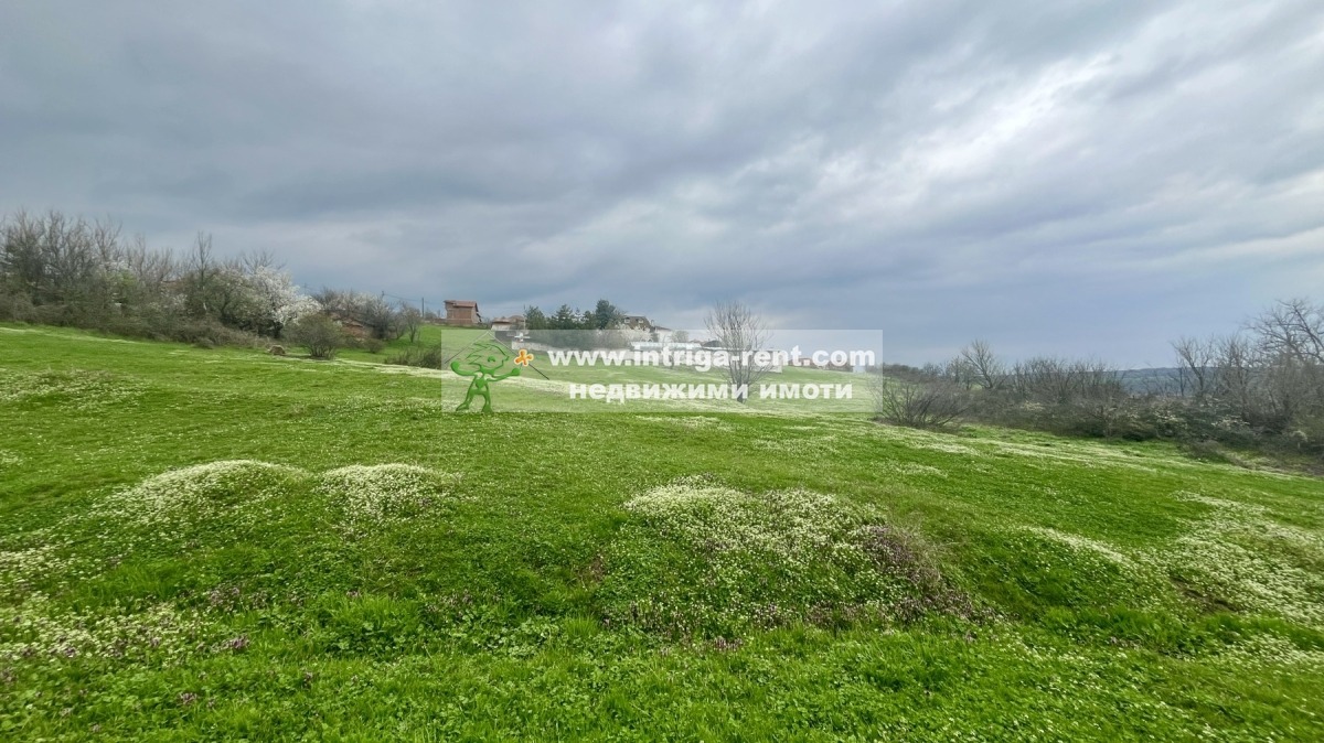 ������� ������ | Imot.bg � ����������� 6