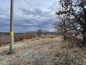 ������� ������ | Imot.bg � ����� ������ 8