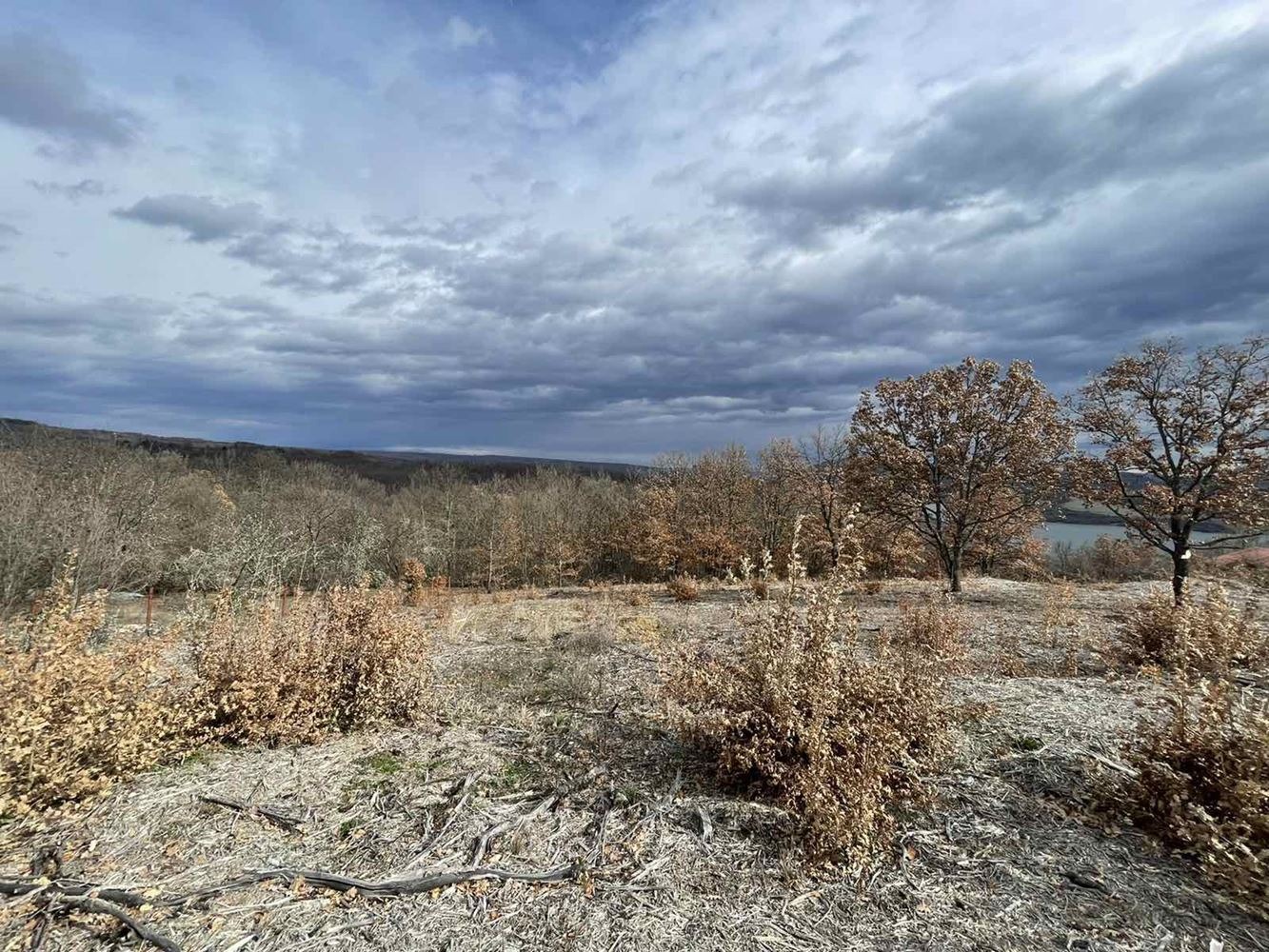 Продава ПАРЦЕЛ, яз. Пчелина, област Перник, снимка 5 - Парцели - 53618139