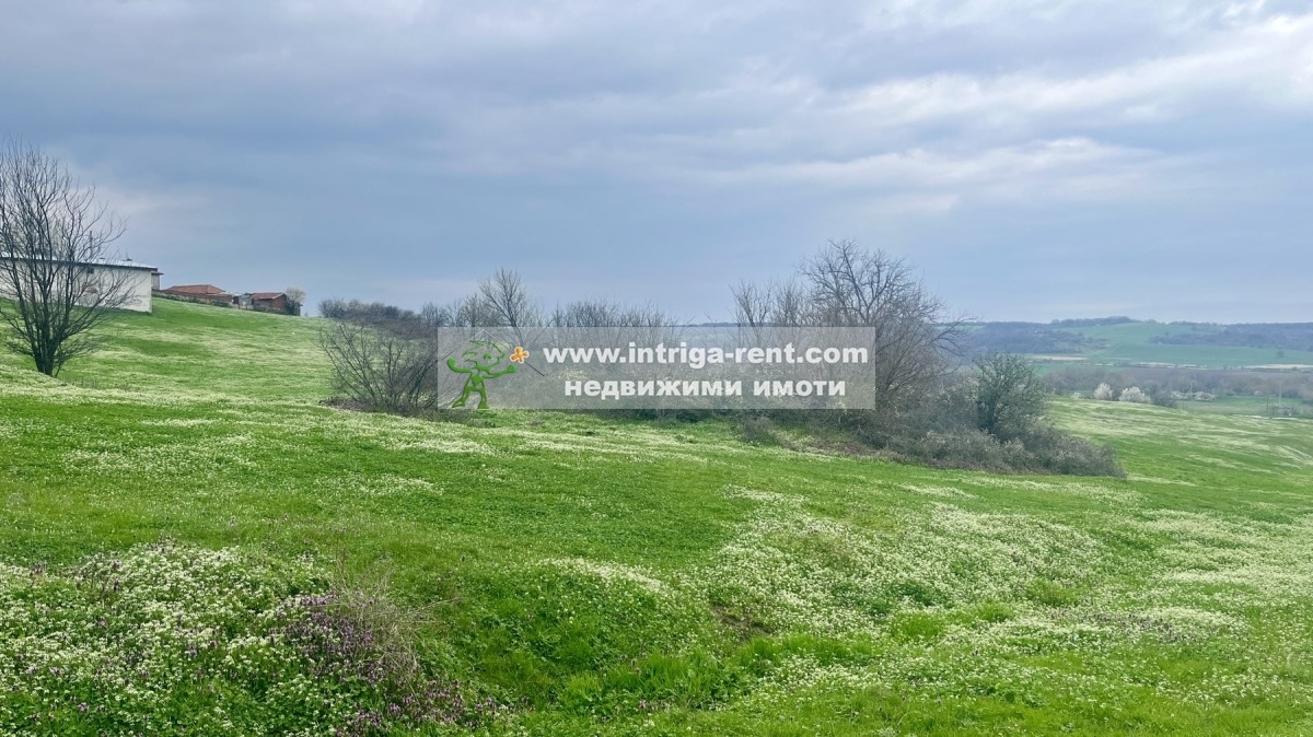 Продава ПАРЦЕЛ, с. Родопи, област Хасково, снимка 7 - Парцели - 54062799