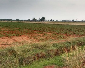 À venda Terra