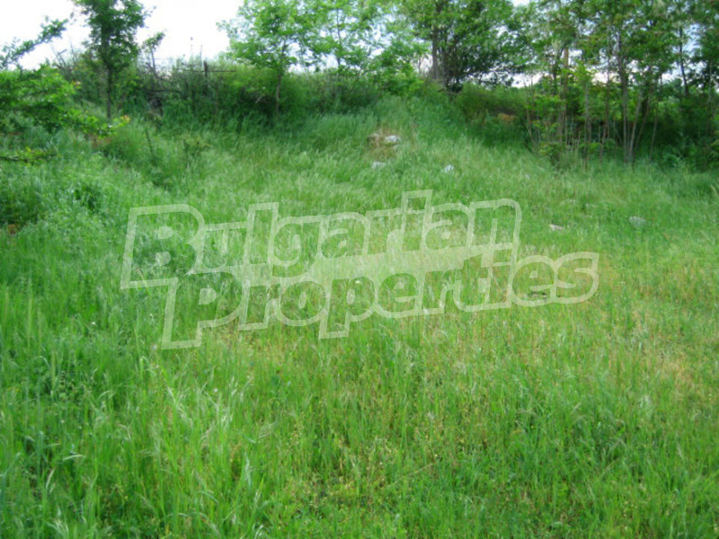 Продава КЪЩА, с. Мелница, област Ямбол, снимка 7 - Къщи - 26450427