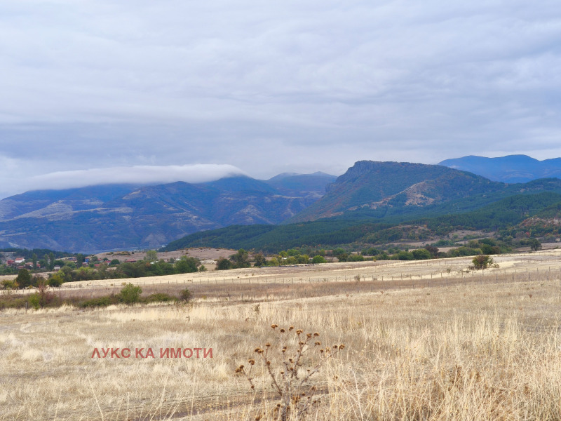 Продава ЗЕМЕДЕЛСКА ЗЕМЯ, с. Скалище, област Кърджали, снимка 14 - Земеделска земя - 48403971