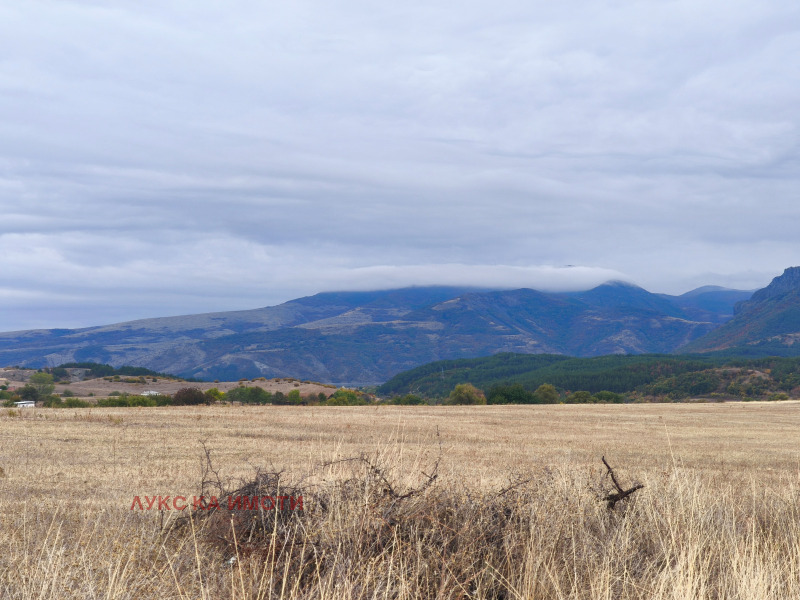 Продава ЗЕМЕДЕЛСКА ЗЕМЯ, с. Скалище, област Кърджали, снимка 10 - Земеделска земя - 48403971