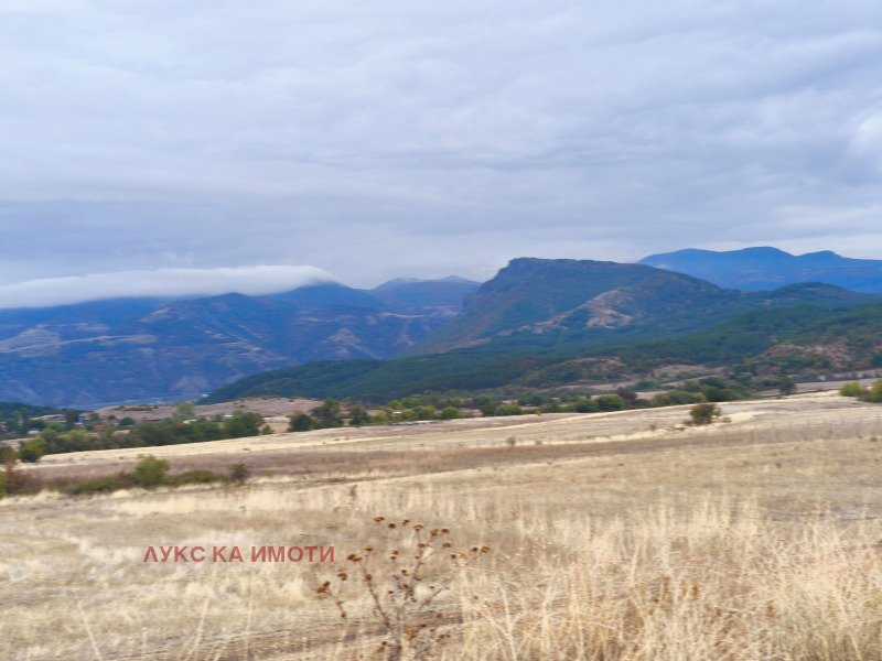 Продава ЗЕМЕДЕЛСКА ЗЕМЯ, с. Скалище, област Кърджали, снимка 9 - Земеделска земя - 48403971