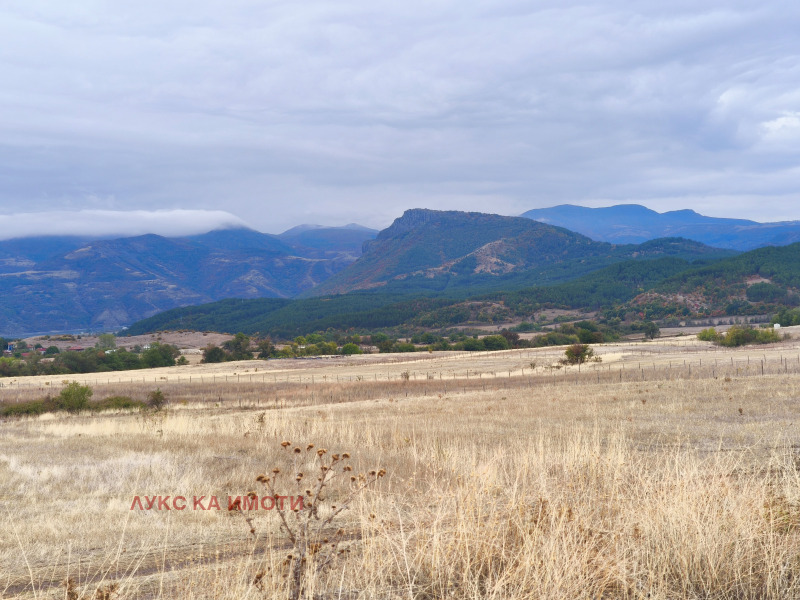 Продава ЗЕМЕДЕЛСКА ЗЕМЯ, с. Скалище, област Кърджали, снимка 11 - Земеделска земя - 48403971