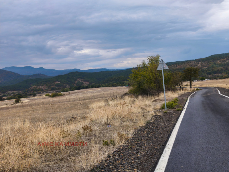 Продава ЗЕМЕДЕЛСКА ЗЕМЯ, с. Скалище, област Кърджали, снимка 12 - Земеделска земя - 48403971