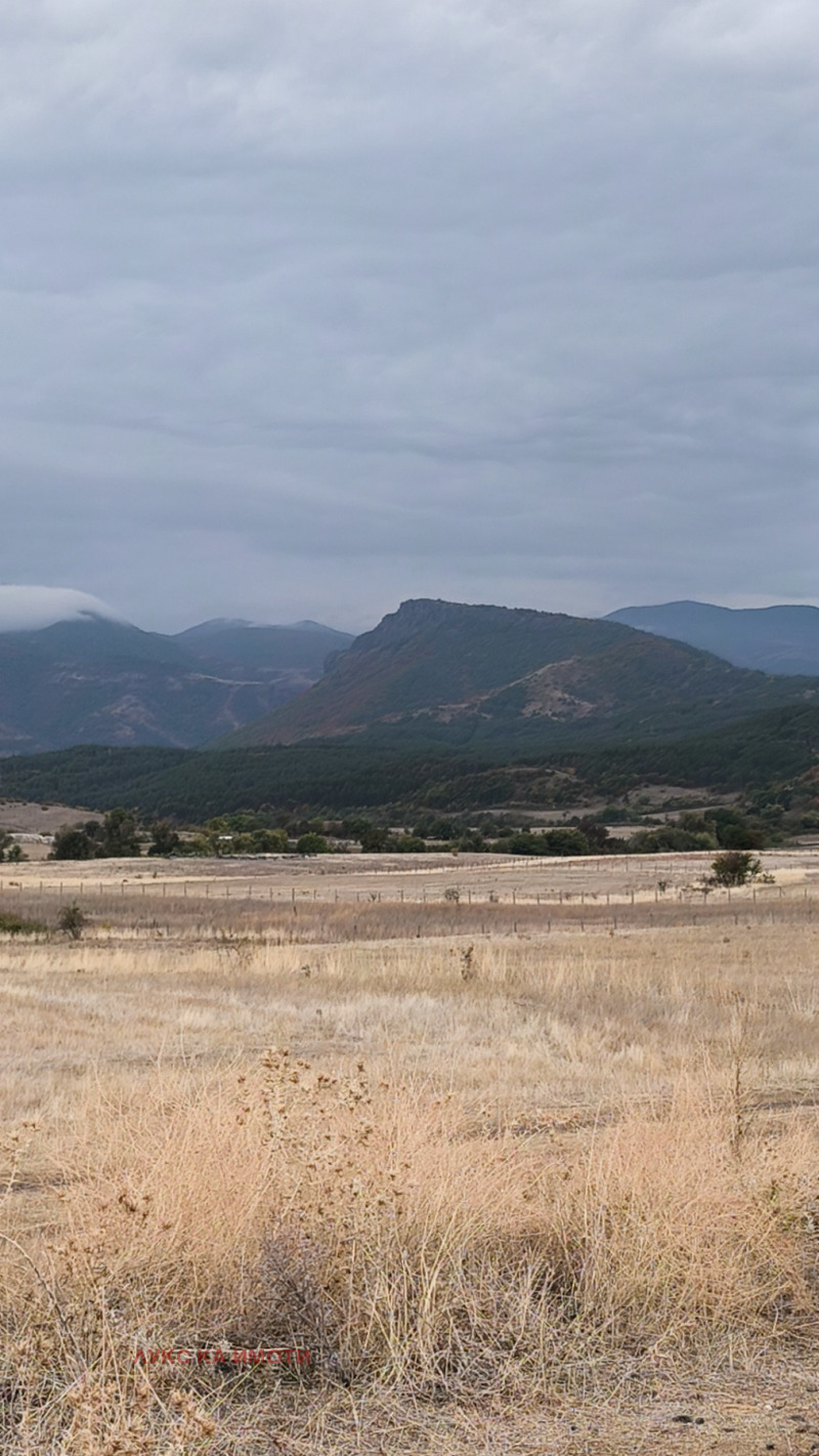 Продава ЗЕМЕДЕЛСКА ЗЕМЯ, с. Скалище, област Кърджали, снимка 15 - Земеделска земя - 48403971