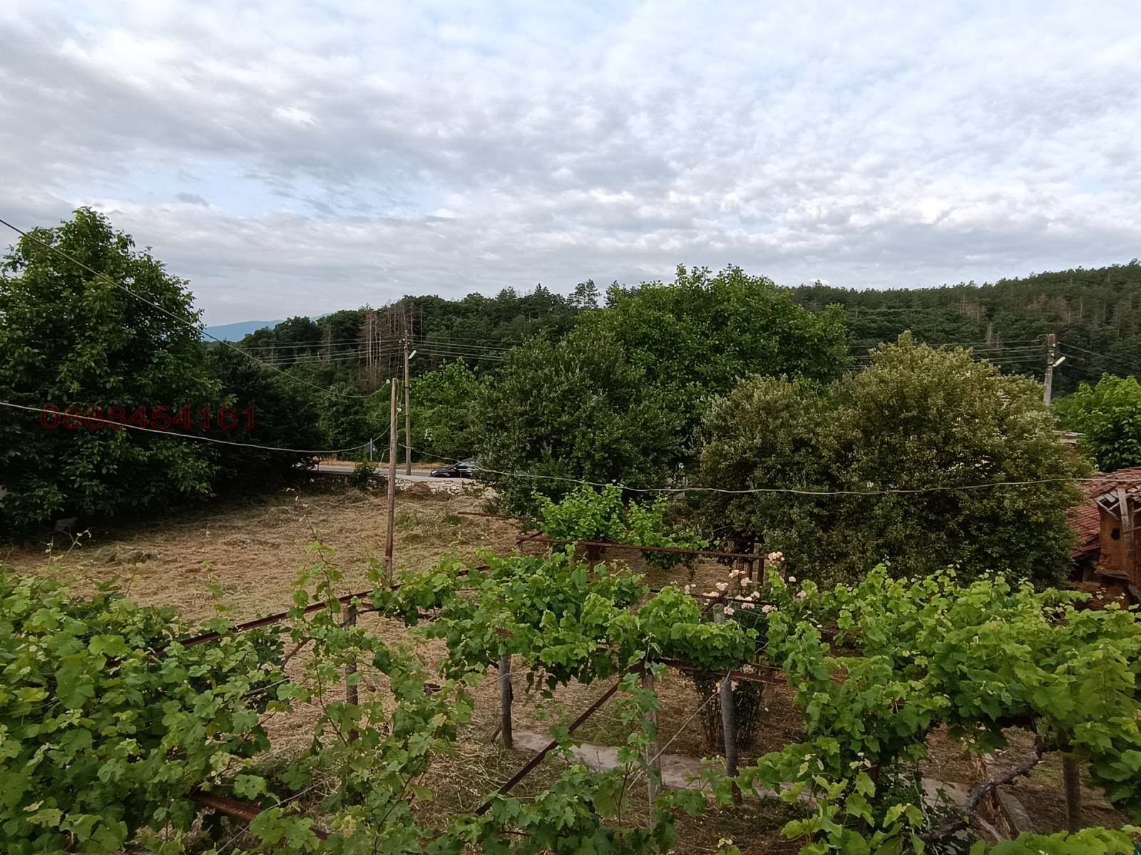 ������� ���� | Imot.bg � ����������� 11