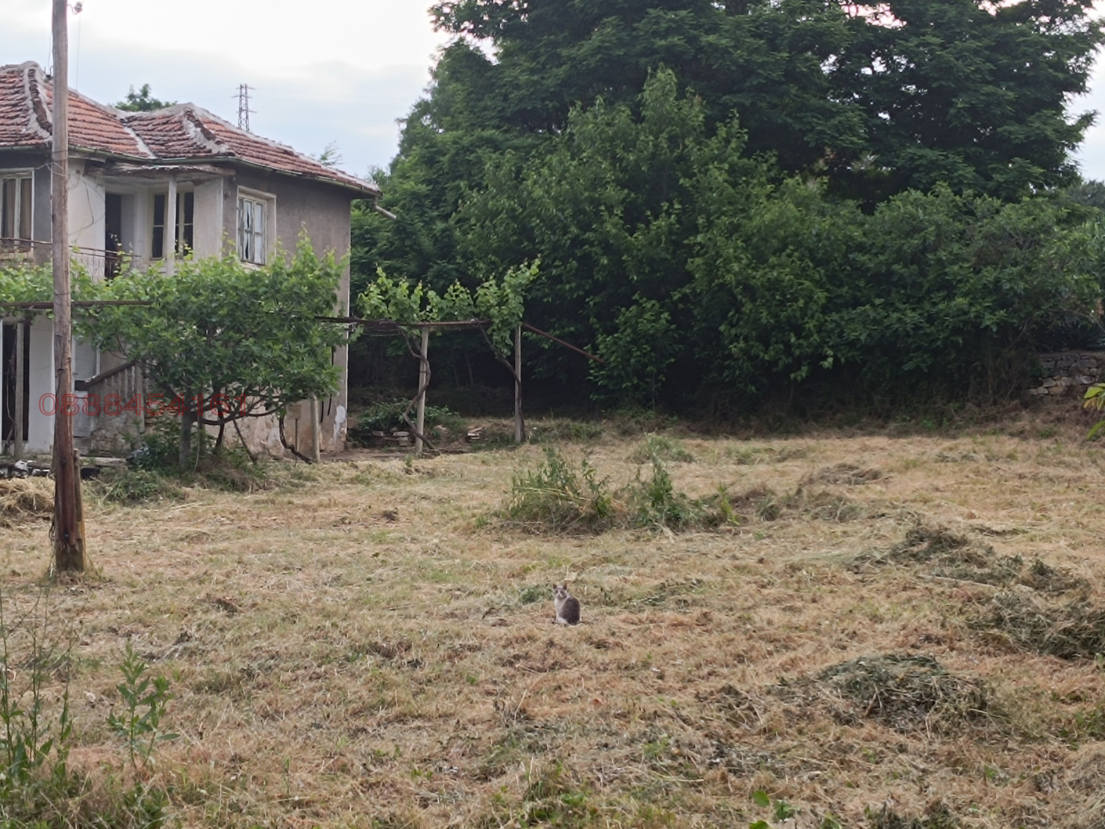 ������� ���� | Imot.bg � ����������� 7