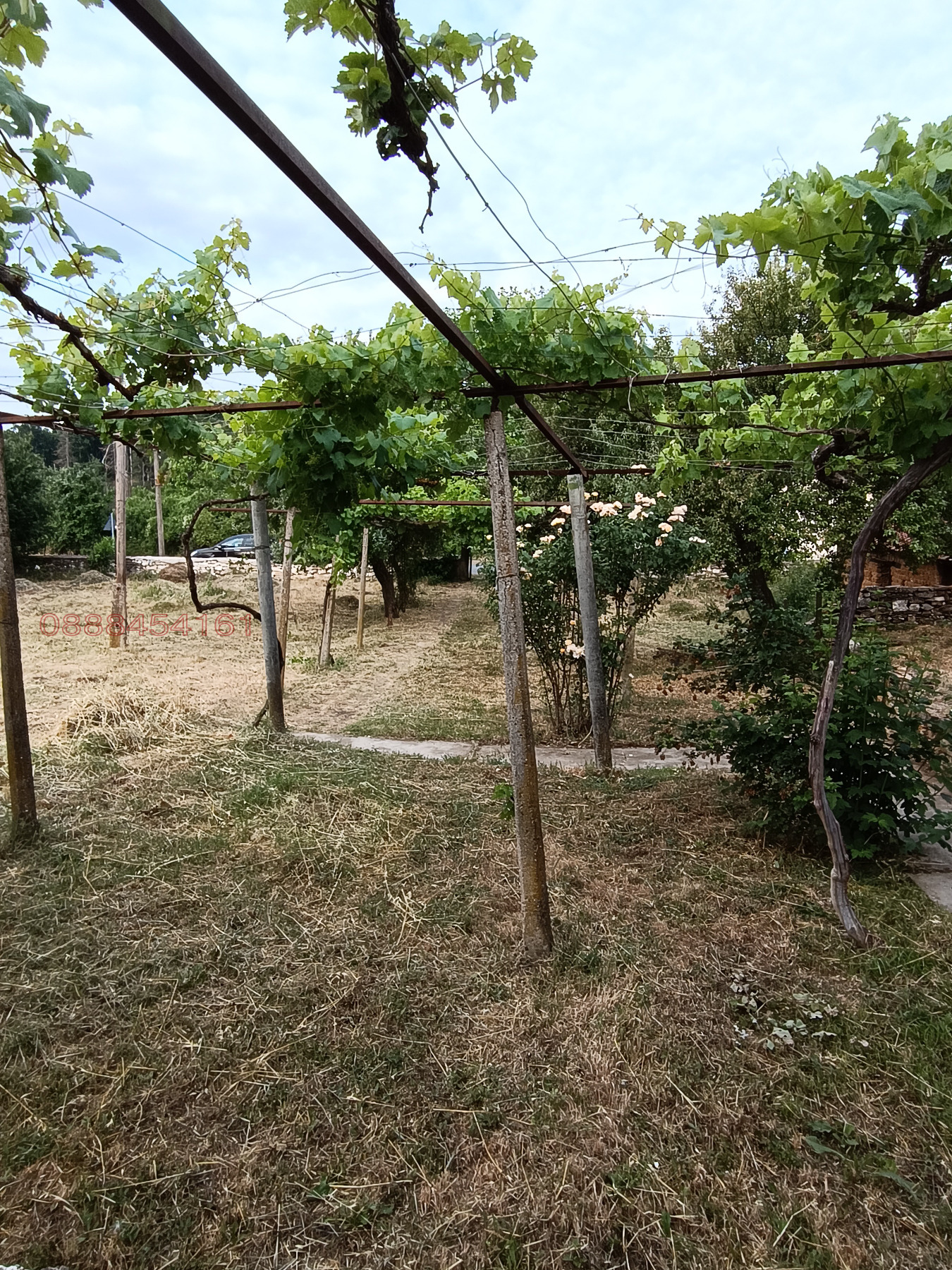 ������� ���� | Imot.bg � ����������� 10