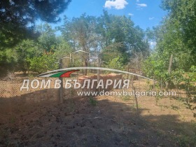 Сюжет Неофит Рилски, область Варна