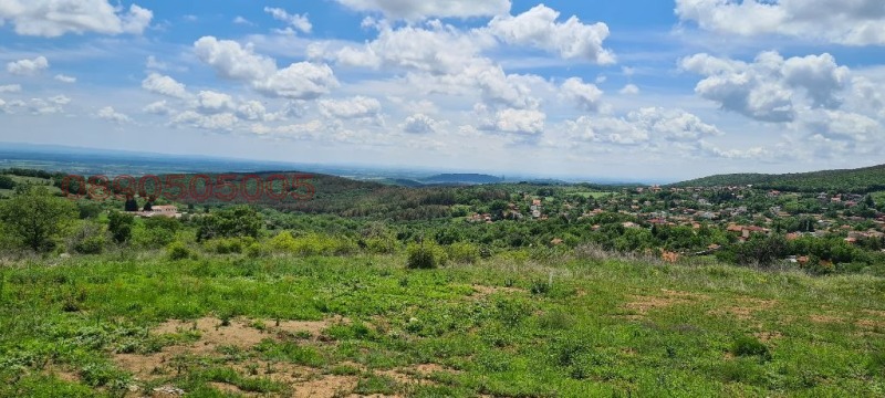 Продава ПАРЦЕЛ, с. Малка Верея, област Стара Загора, снимка 4 - Парцели - 52783193