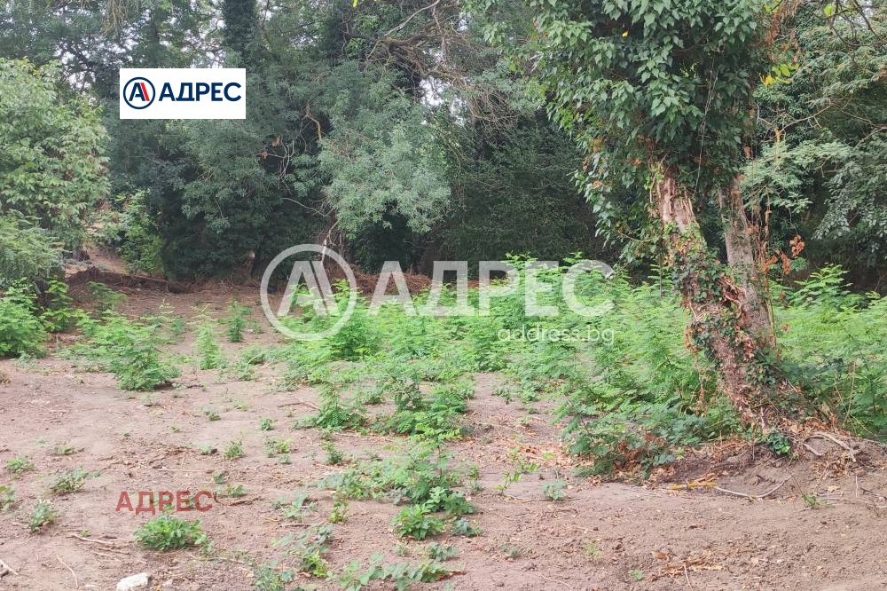 Продава ПАРЦЕЛ, гр. Варна, м-т Боровец - юг, снимка 4 - Парцели - 51492668
