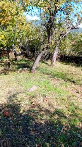 ������� ���� | Imot.bg � ����� ������ 4