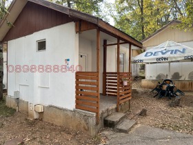 ������ ������� ����