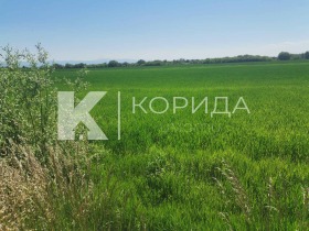 Земля Костинброд, область София