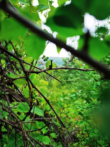 ������� ���� | Imot.bg � ����������� 10