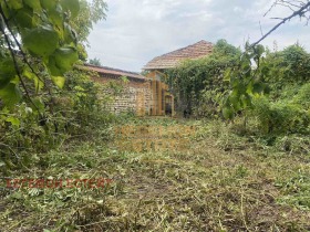 Hus Dryanovets, region Razgrad 3