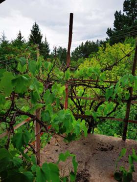 ������� ���� | Imot.bg � ����� ������ 8