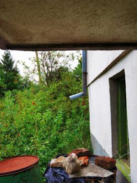 ������� ���� | Imot.bg � ����� ������ 4