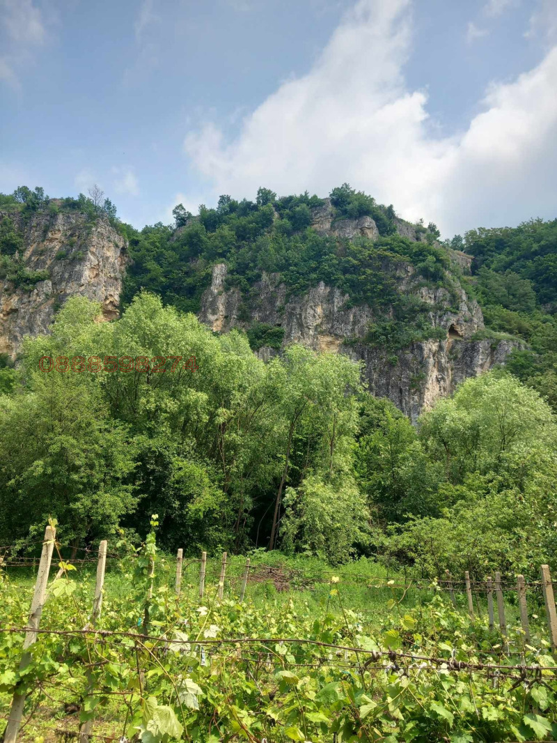 Продава КЪЩА, с. Нисово, област Русе, снимка 4 - Къщи - 52786042