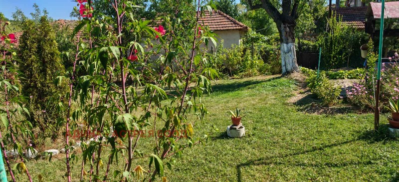 Til salg  Hus region Veliko Tarnovo , Palitsi , 200 kvm | 25179703 - billede [13]