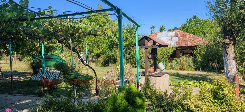 Til salg  Hus region Veliko Tarnovo , Palitsi , 200 kvm | 25179703 - billede [15]