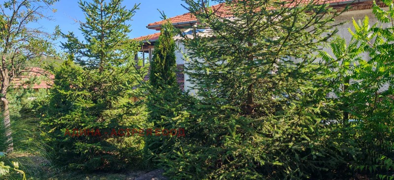 Til salg  Hus region Veliko Tarnovo , Palitsi , 200 kvm | 25179703