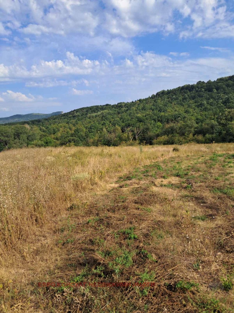Satılık  Komplo bölge Gabrovo , Sevlievo , 3605 metrekare | 49778281 - görüntü [6]