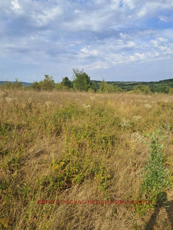 На продаж  Сюжет область Габрово , Севлиево , 3605 кв.м | 49778281