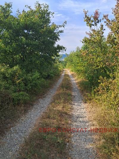 Satılık  Komplo bölge Gabrovo , Sevlievo , 3605 metrekare | 49778281 - görüntü [4]