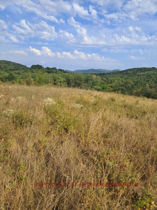 Satılık  Komplo bölge Gabrovo , Sevlievo , 3605 metrekare | 49778281 - görüntü [5]