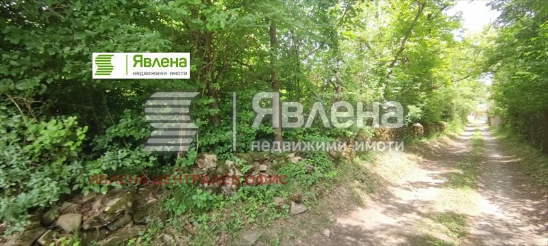 Продава ПАРЦЕЛ, с. Орешак, област Ловеч, снимка 4 - Парцели - 48215152