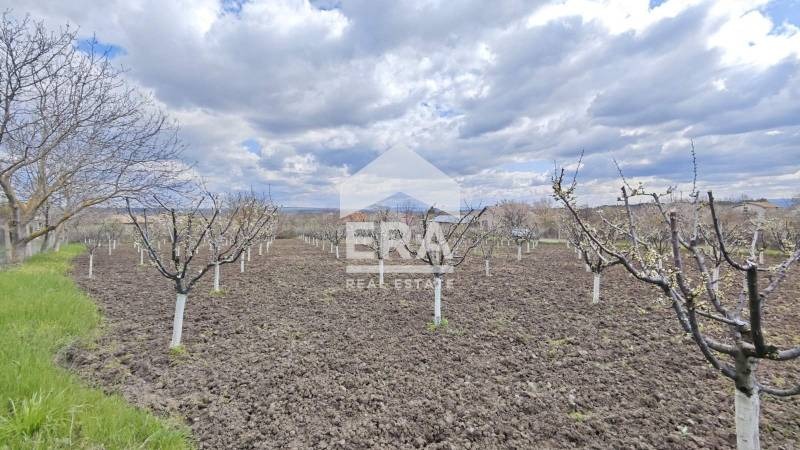 ������� ������ | Imot.bg � ����������� 1