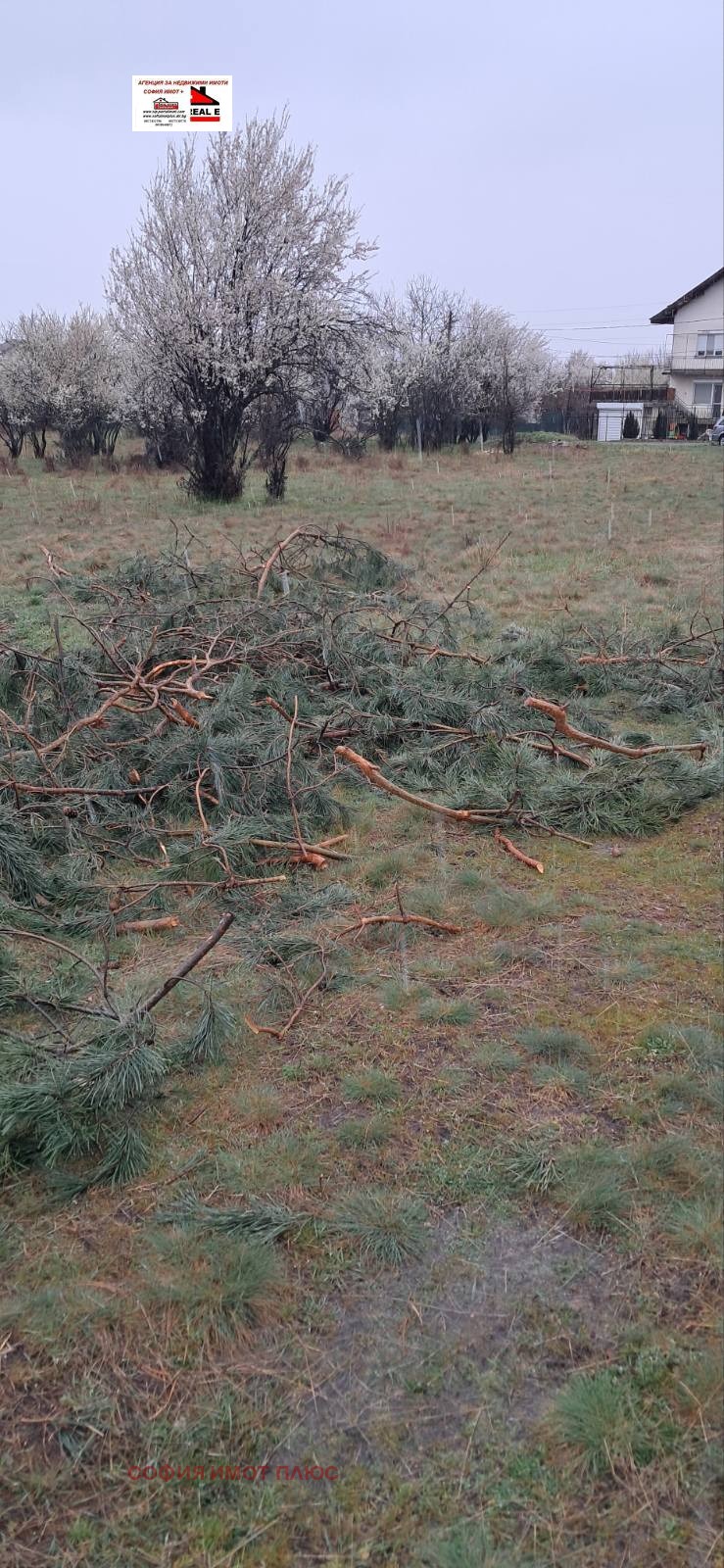 ������� ���������� ���� | Imot.bg � ����������� 6