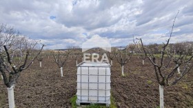 ������� ������ | Imot.bg � ����� ������ 5