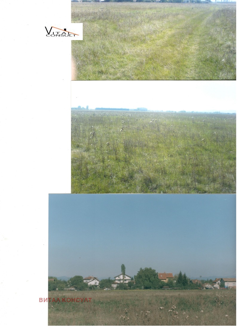 Продаја  Плот Софија , Волујак , 2158 м2 | 68641704 - слика [3]