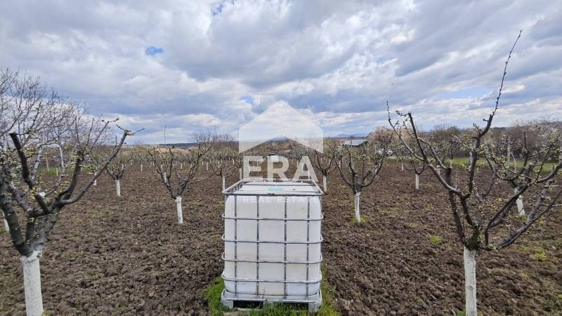 Продава ПАРЦЕЛ, с. Здравец, област Търговище, снимка 4 - Парцели - 54254590