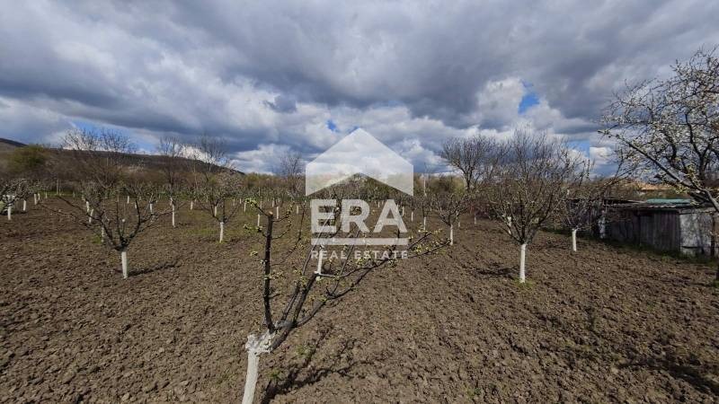 Продава ПАРЦЕЛ, с. Здравец, област Търговище, снимка 2 - Парцели - 54254590