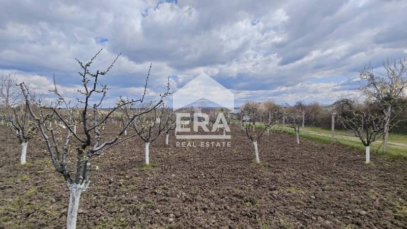 Продава ПАРЦЕЛ, с. Здравец, област Търговище, снимка 3 - Парцели - 54254590