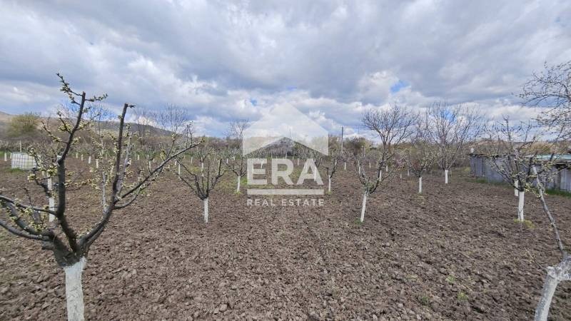 Продава ПАРЦЕЛ, с. Здравец, област Търговище, снимка 2 - Парцели - 54254590