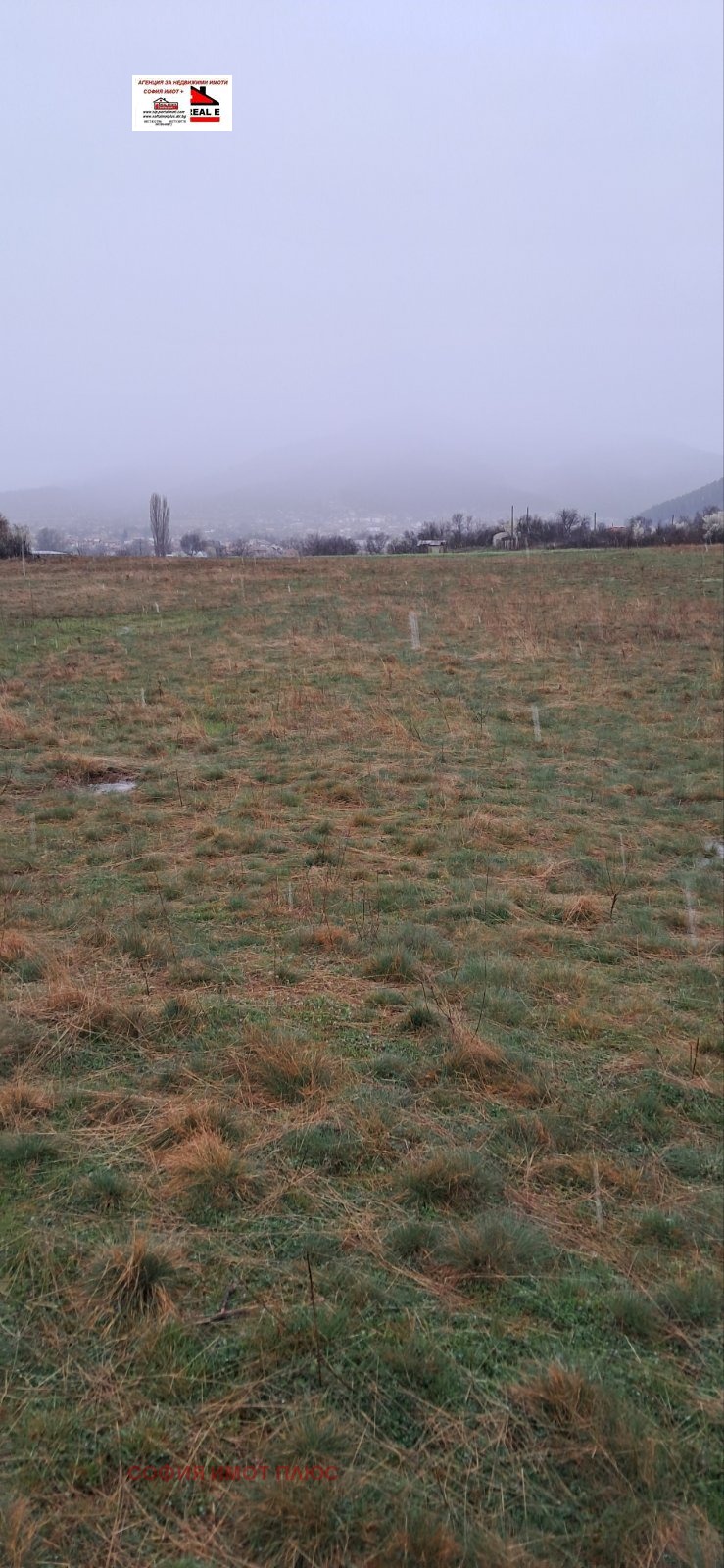 Продава ЗЕМЕДЕЛСКА ЗЕМЯ, гр. Кюстендил, област Кюстендил, снимка 2 - Земеделска земя - 54063749