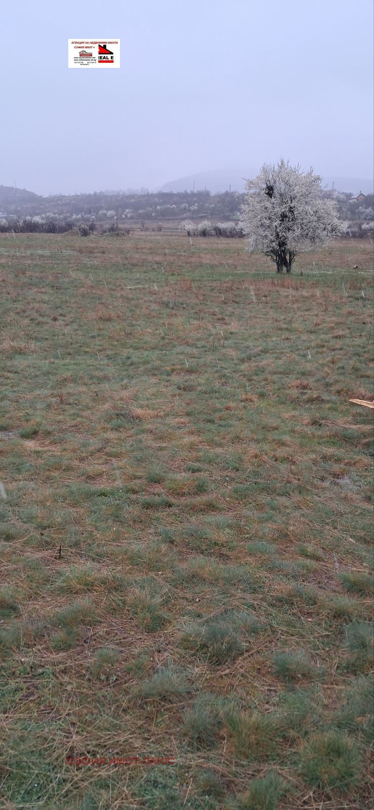 Продава ЗЕМЕДЕЛСКА ЗЕМЯ, гр. Кюстендил, област Кюстендил