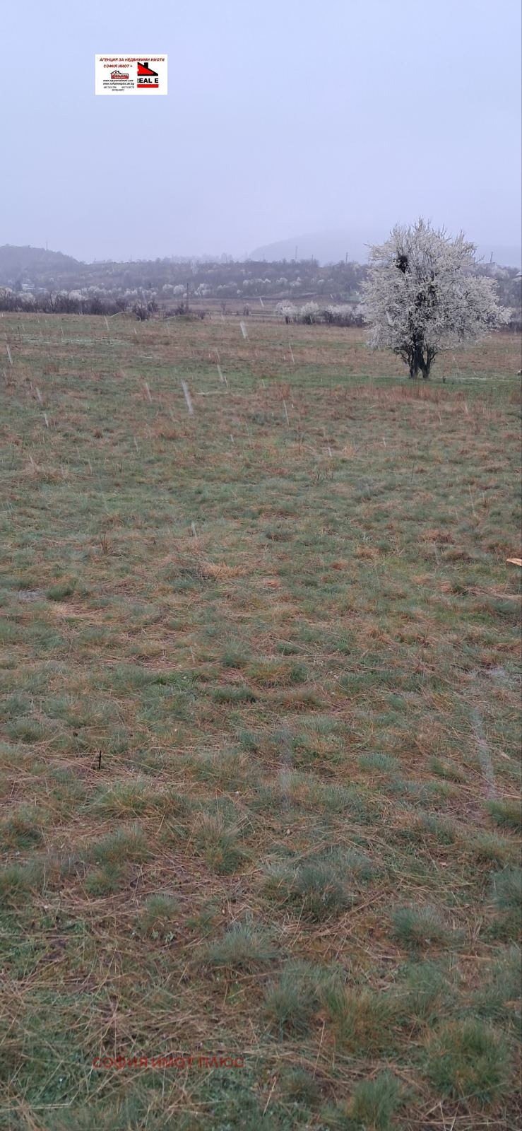 Продава ЗЕМЕДЕЛСКА ЗЕМЯ, гр. Кюстендил, област Кюстендил, снимка 3 - Земеделска земя - 54063749