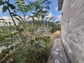Продава КЪЩА, с. Ваклино, област Добрич, снимка 11