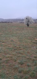 Продава ЗЕМЕДЕЛСКА ЗЕМЯ, гр. Кюстендил, област Кюстендил, снимка 1