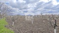 Продава ПАРЦЕЛ, област Търговище, с. Здравец • 28000 € / 54763.24 лв. • 34943850 1