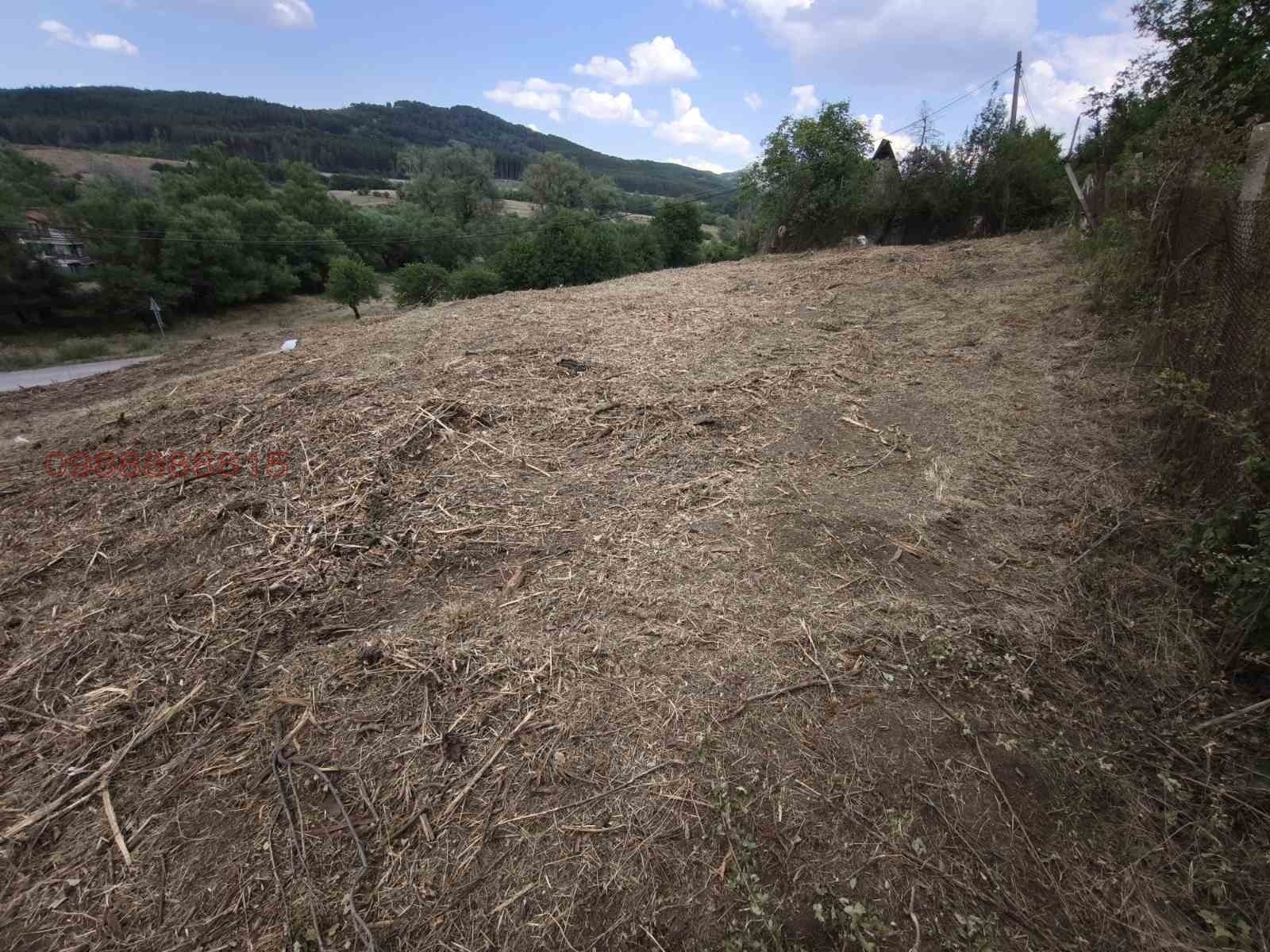 ������� ������ | Imot.bg � ����������� 7