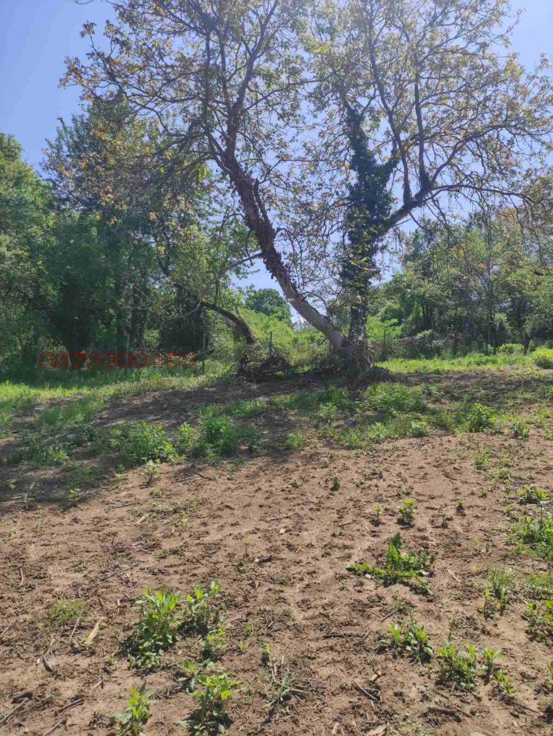 Til salgs  Villa region Lovech , Goljama Sjeljazna , 1400 kvm | 67501043 - bilde [14]